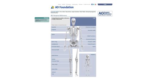 ao surgery ref|ao surgery reference distal femur.